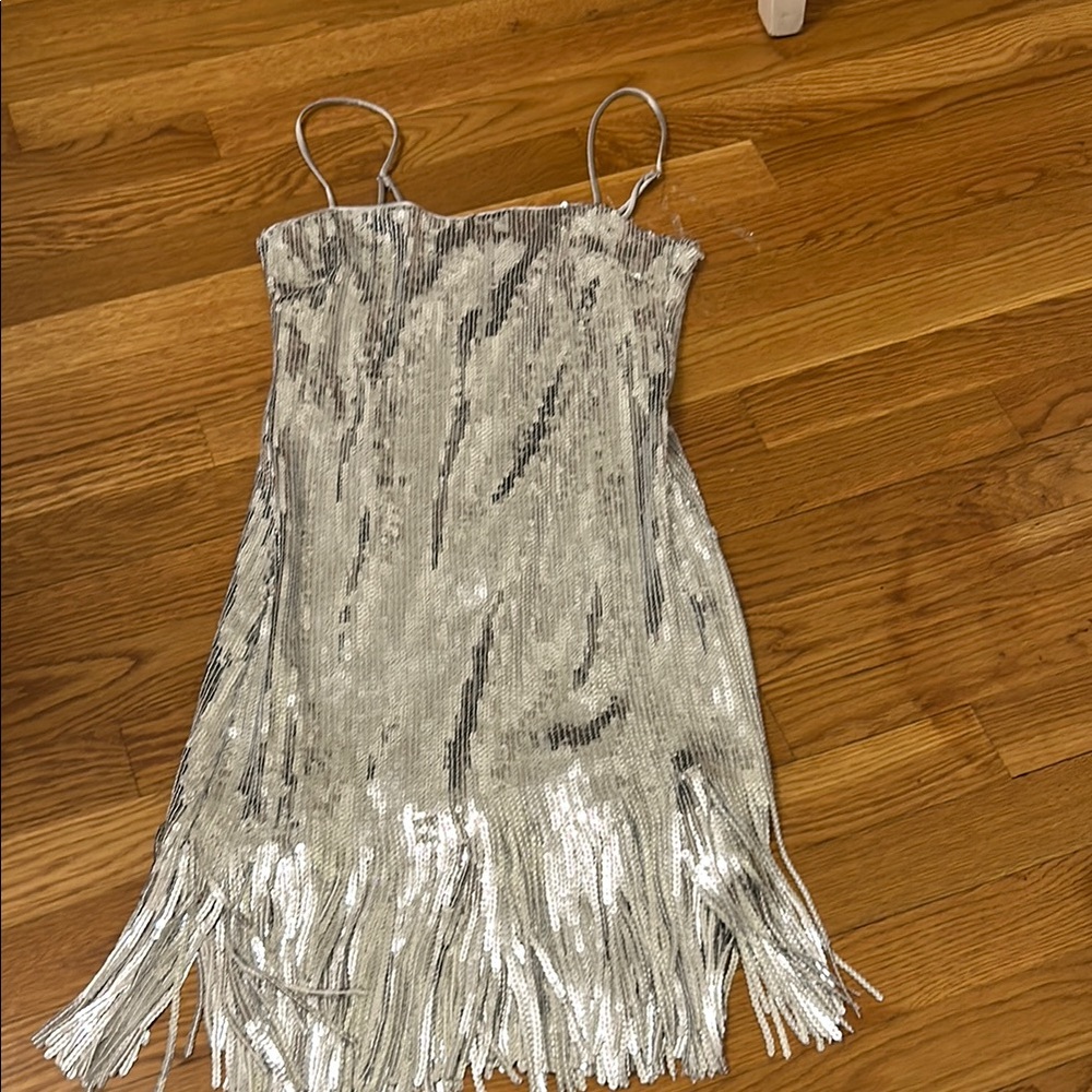 Silver Fringe Sequin Mini Dress